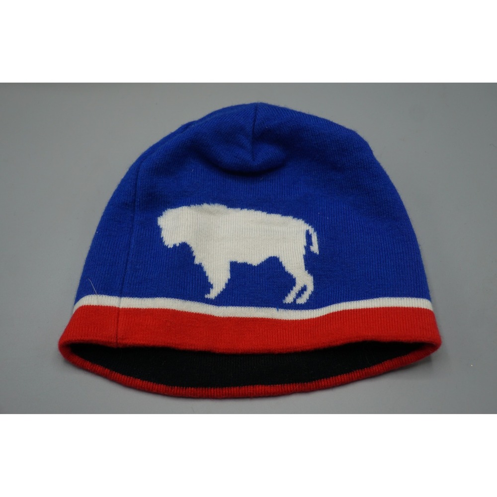 Patagonia Kids Buffalo Beanie Blue Red White Wool Blend Fleece Lined Hat ONE